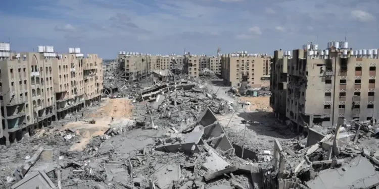 غزه کې د ناچاوده توکو پاکول به ۱۴ کاله وخت ونیسي